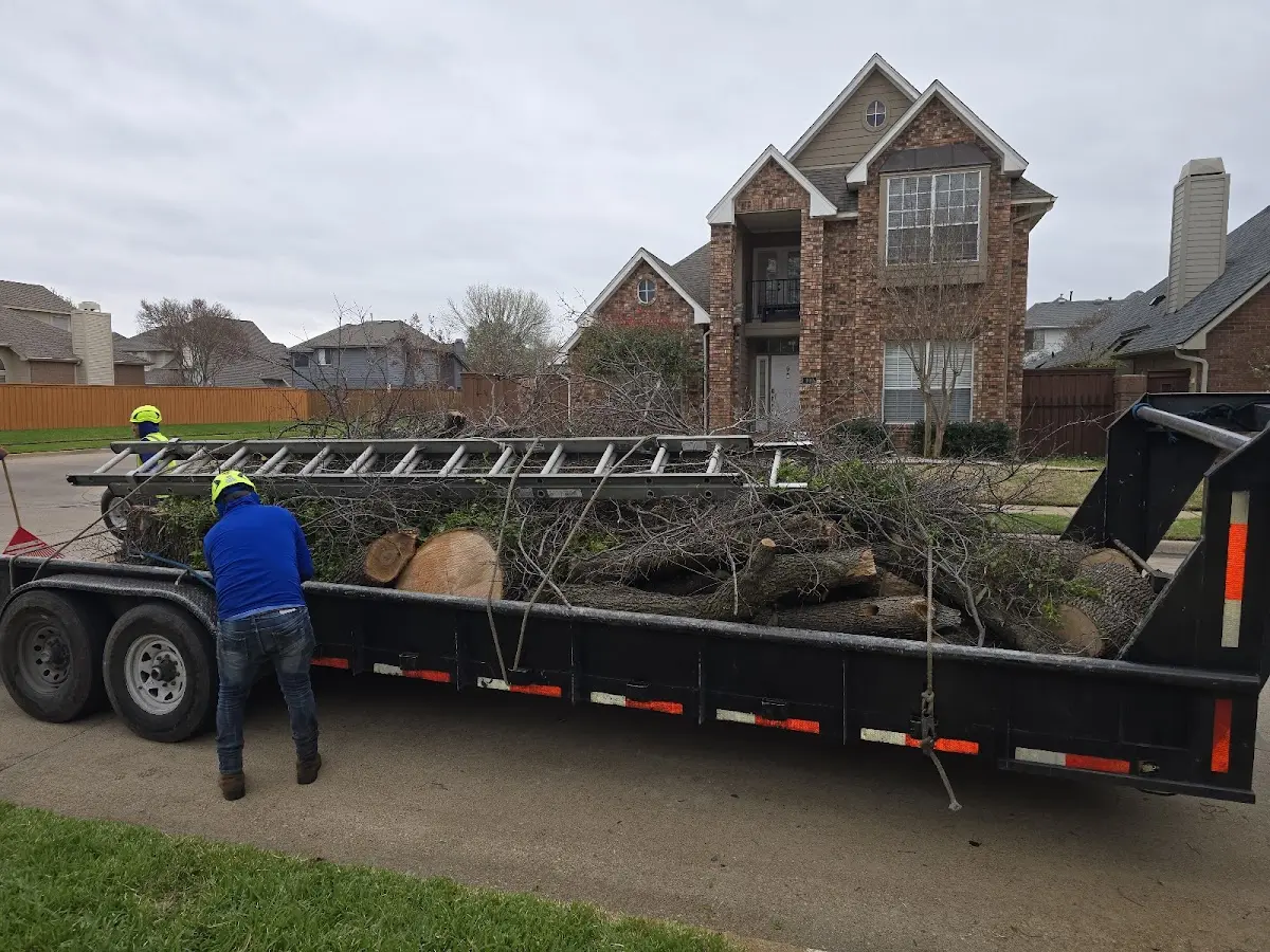 Expert Lot Clearing with proper safety equipment in Greenville